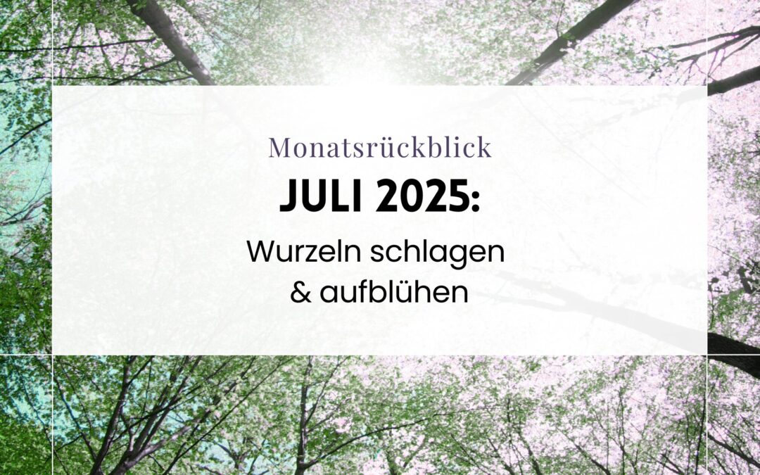 Monatsrückblick Juli 2025 – Wurzeln schlagen & aufblühen
